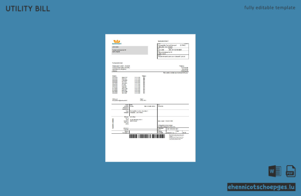 Beispieltext für die Rechnung der Finnischen Jugendstiftung (Vorschau)